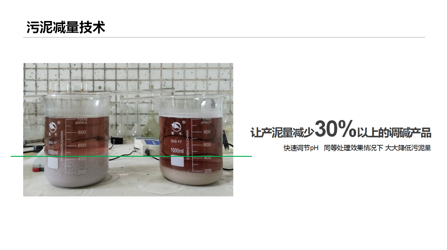 污泥減量技術(shù)