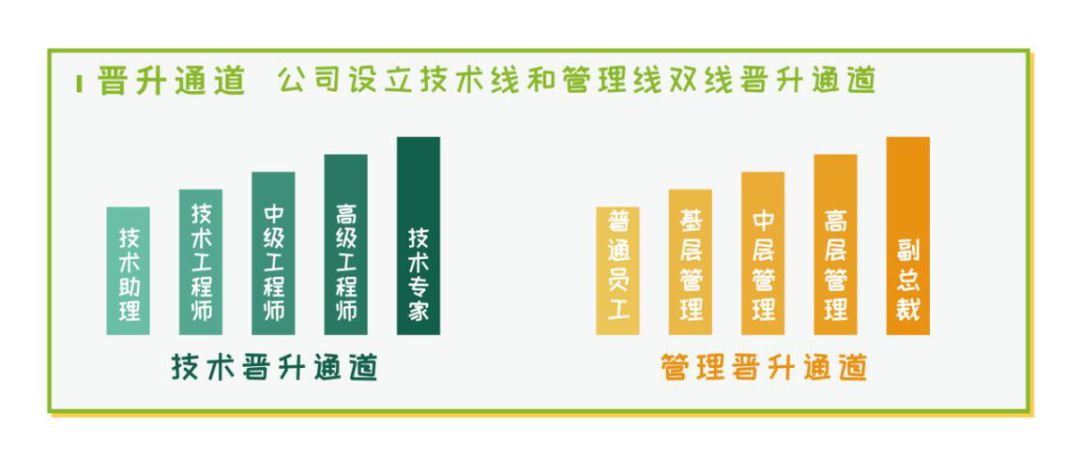 長隆科技職業(yè)發(fā)展通道