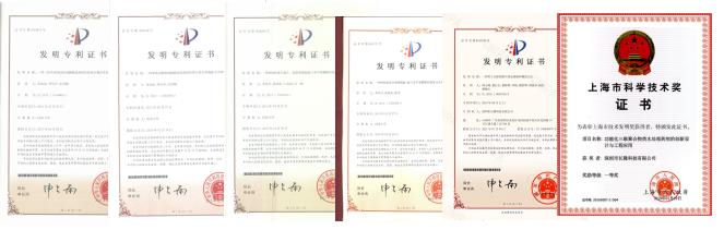 專利技術(shù)