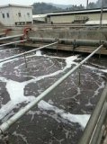 地震過后，水中重金屬含量增大