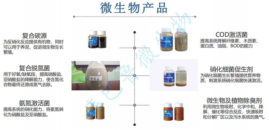 線路板廢水所需微生物