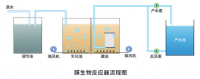 求高性價比的國產(chǎn)分離膜