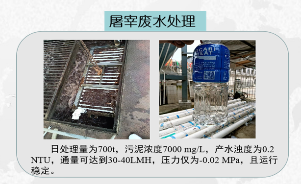 屠宰廢水處理