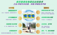 冬季污水生化脫氮除磷注意事項